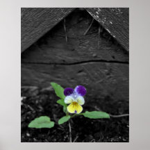 Johnny salta encima de la flor 8x10 impresiones
