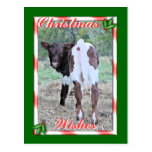 JoleeChristmasPcard-personalizar Postal