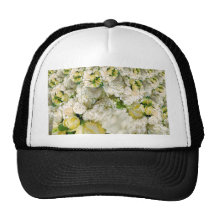 Joy_ Gorras De Camionero