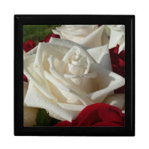 Joyero del rosa blanco cajas de regalo