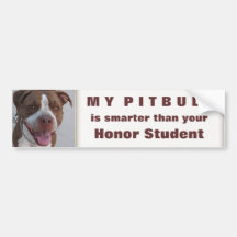 Juego de Pitbull conmigo Pegatina De Parachoque