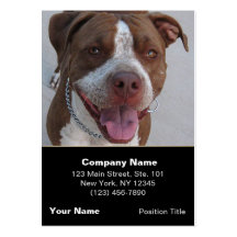 Juego de Pitbull conmigo Plantillas De Tarjetas Personales