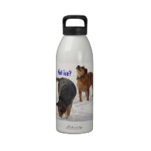 Juego lindo de los perros del ganado en el amante  botellas de agua reutilizables