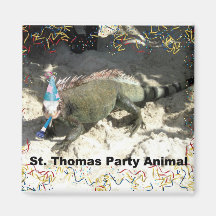 ¡Juerguista de St Thomas! Imán De Frigorífico
