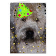 Juerguista Wheaton Terrier Tarjetas