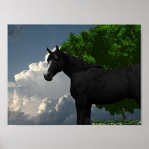 Juez Posters