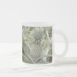 Jugo de piña - actualizado tazas de café