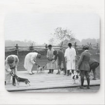 Juicio de Beagles, 1914 Tapetes De Raton