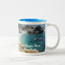 Julia Pfeiffer quema la taza del parque de estado