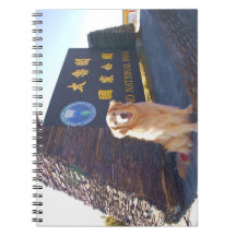 Jumelle se aventura el cuaderno 02