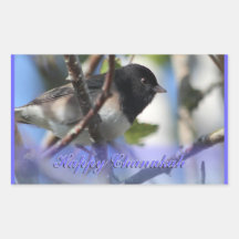 junco feliz feliz del pájaro del chanukah de Jánuc Pegatinas