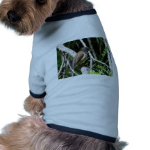 junco Oscuro-observado Camisetas De Mascota