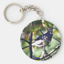 junco Oscuro-observado encaramado en rama Llavero Personalizado
