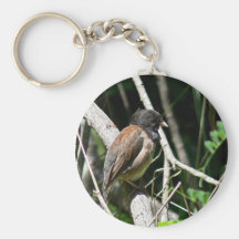 junco Oscuro-observado Llavero