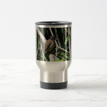 junco Oscuro-observado Taza