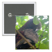 Kaka Pins