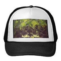 Kalo = vida gorros  
