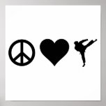Karate del amor de la paz poster