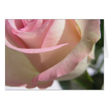 Karte "Rose"