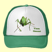 Katydid piensa verde gorras