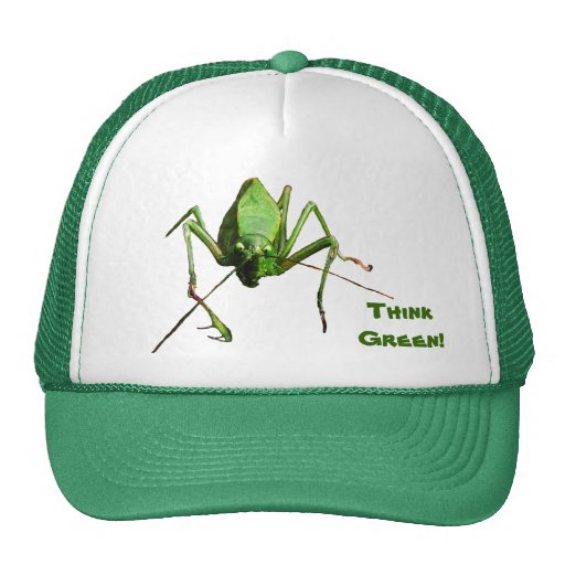 Katydid piensa verde gorro de camionero