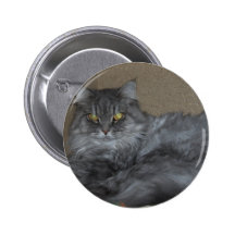 Katze Anstecknadelbutton