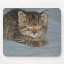 Katzenbaby Mauspads
