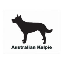 Kelpie australiano tarjetas postales