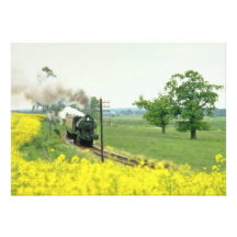 Kent amarillo y ferrocarril del este de Sussex, Te Invitacion Personal