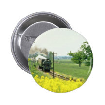 Kent amarillo y ferrocarril del este de Sussex, Te Pin