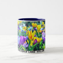 KEUKENHOF LISSE HOLANDA TAZA DE CAFÉ
