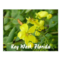 Key West, la Florida Tarjeta Postal
