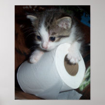 Kittypaper Posters