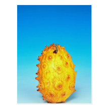 Kiwano, fruta exótica tarjeta postal