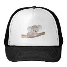 Koala del bebé gorro