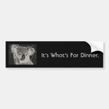 Koala, es cuál está para la cena pegatina de parachoque