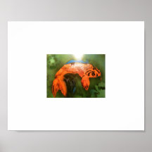 KOI POSTER