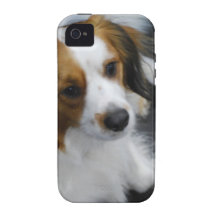 kooikerhondje-3.jpg iPhone 4 carcasas