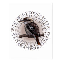 Kookaburra Postal
