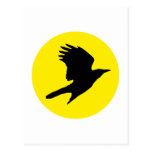 Krähe crow postkarte