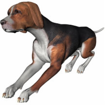 KRW negro y Coonhound del moreno Esculturas Fotográficas