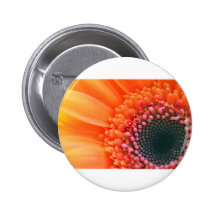 Kunstfoto Blume Rainbow Buttons