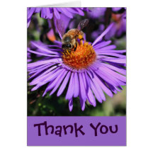 La abeja en la flor púrpura del aster le agradece  felicitaciones