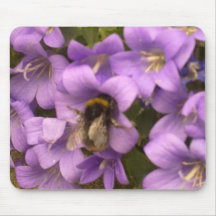 La abeja en púrpura florece Mousepad Alfombrillas De Raton