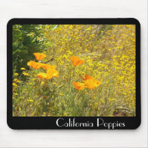 La amapola de California florece Mousepad Tapetes De Ratón