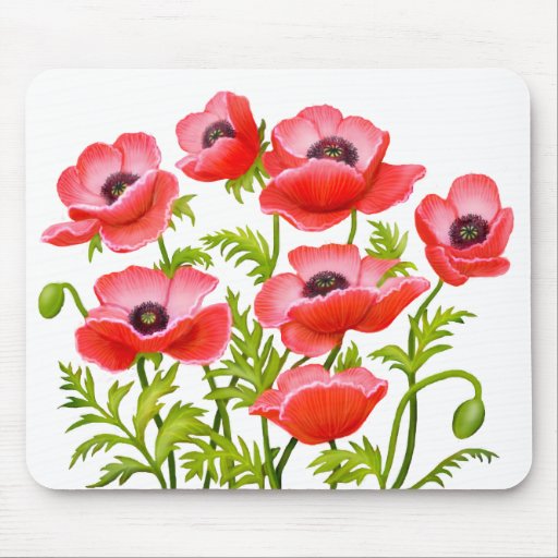 La amapola de jardín roja florece Mousepad