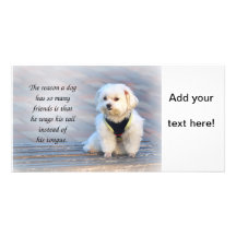 La amistad y la paciencia de un perro fiel tarjetas fotográficas personalizadas