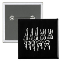 La anatomía del gris - dientes pins