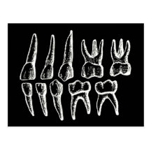 La anatomía del gris - dientes tarjetas postales