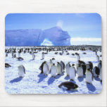 La Antártida, península antártica, mar de Weddell, Alfombrillas De Ratones